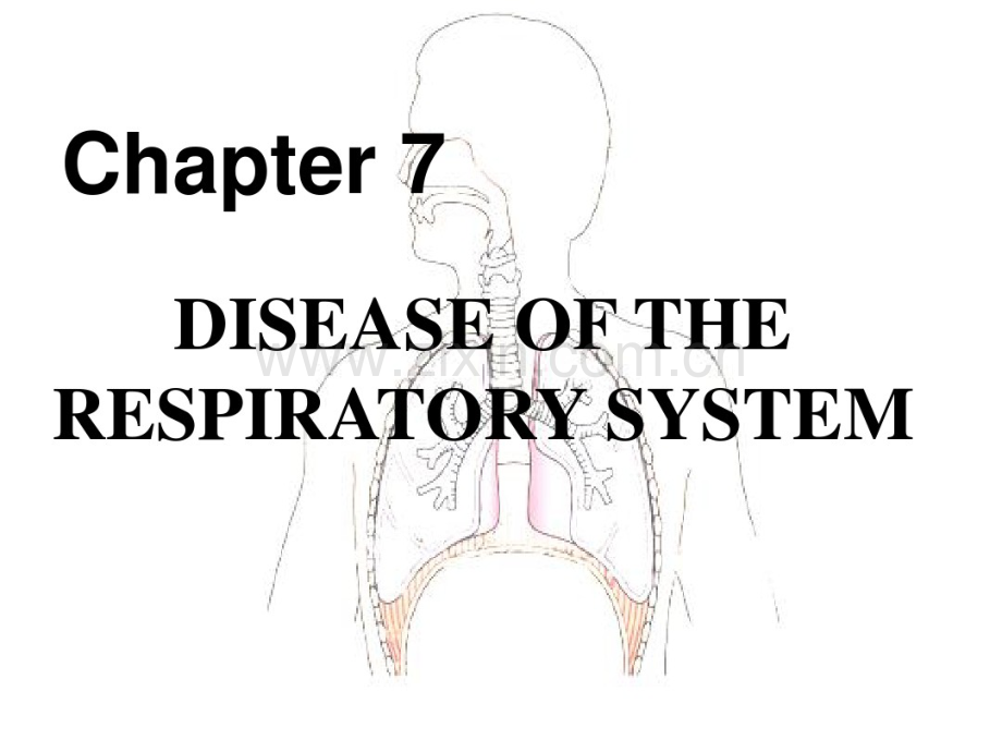 病理学课件呼吸.pdf_第1页