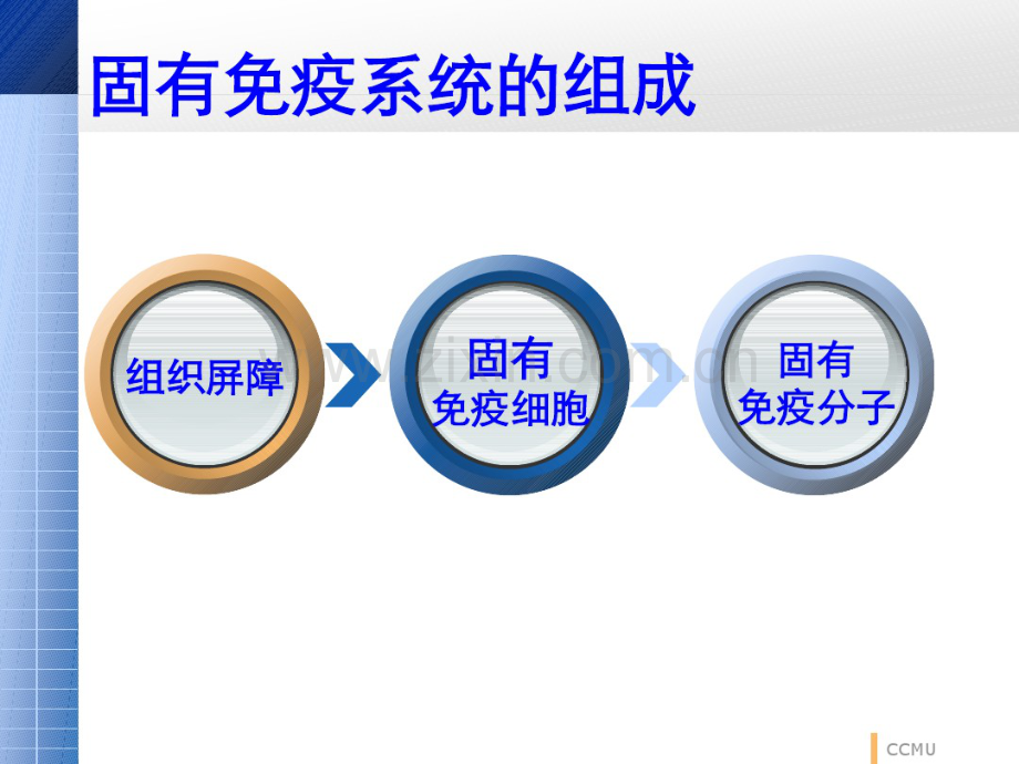 第八章固有免疫系统及其应答.pdf_第2页