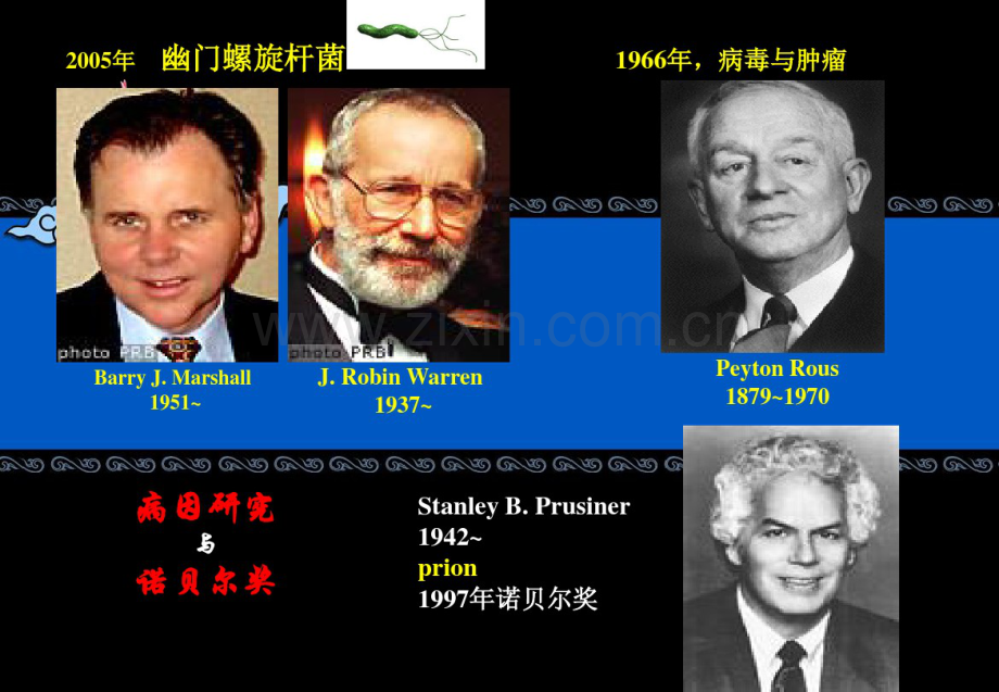 第二章病因推断.pdf_第2页