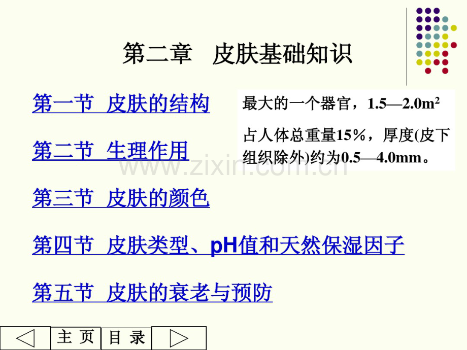 美容药剂学.pdf_第1页