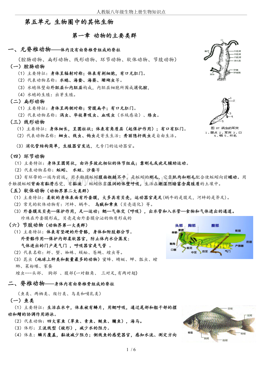 人教版八年级生物上册生物知识点.doc_第1页