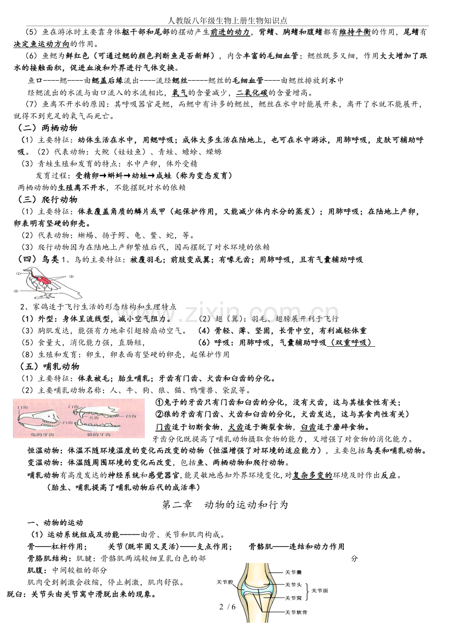 人教版八年级生物上册生物知识点.doc_第2页