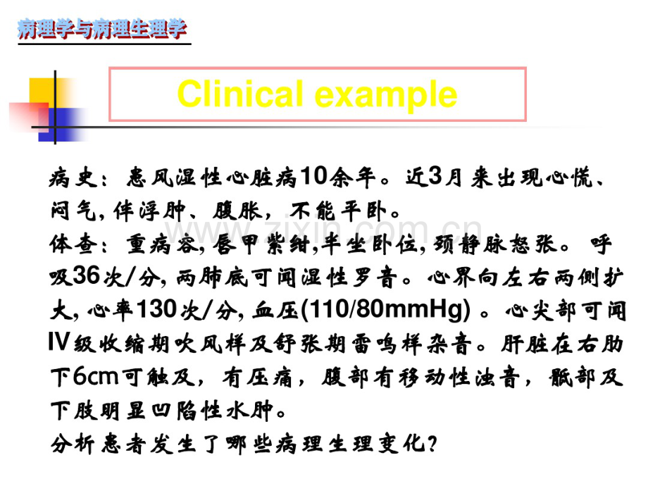 病理学与病理生理学课件-第八章心功能不全.pdf_第2页