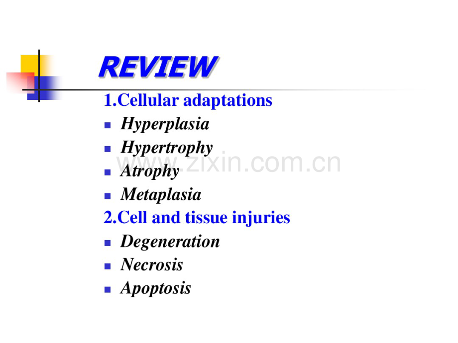 病理学损伤的修复.pdf_第2页