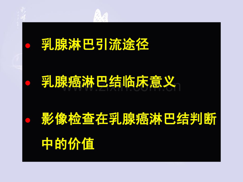 乳腺淋巴结.tmp.pdf_第2页