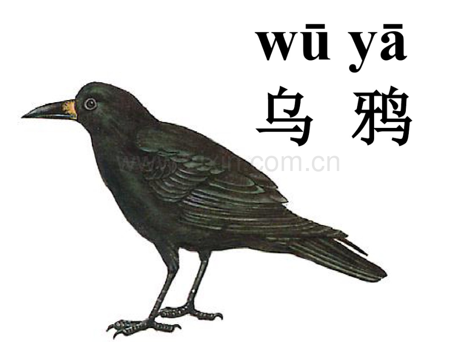 2019乌鸦喝水-生字.pdf_第2页