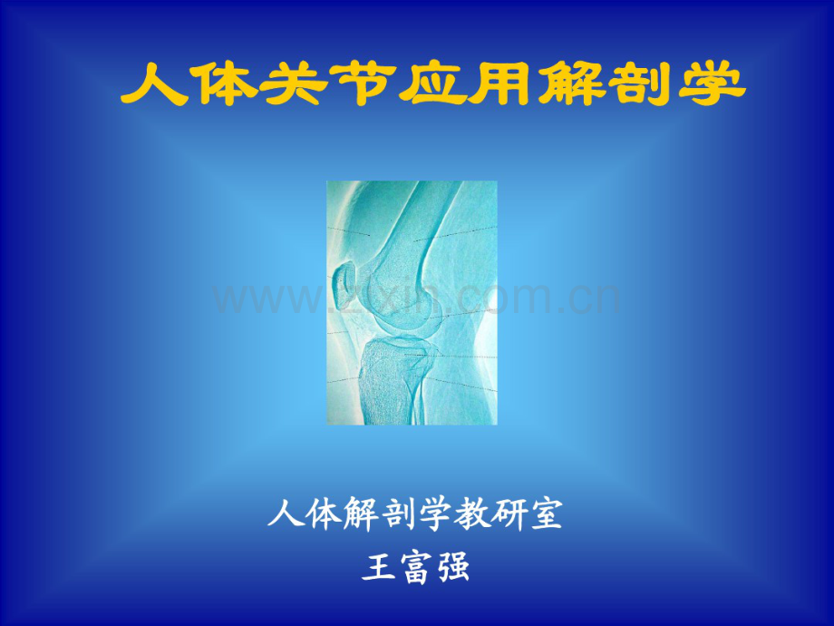 人体关节应用解剖.pdf_第1页