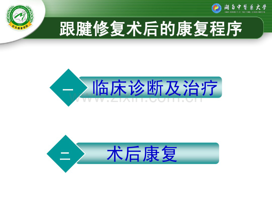 跟腱断裂修复术后的康复程序.pdf_第2页