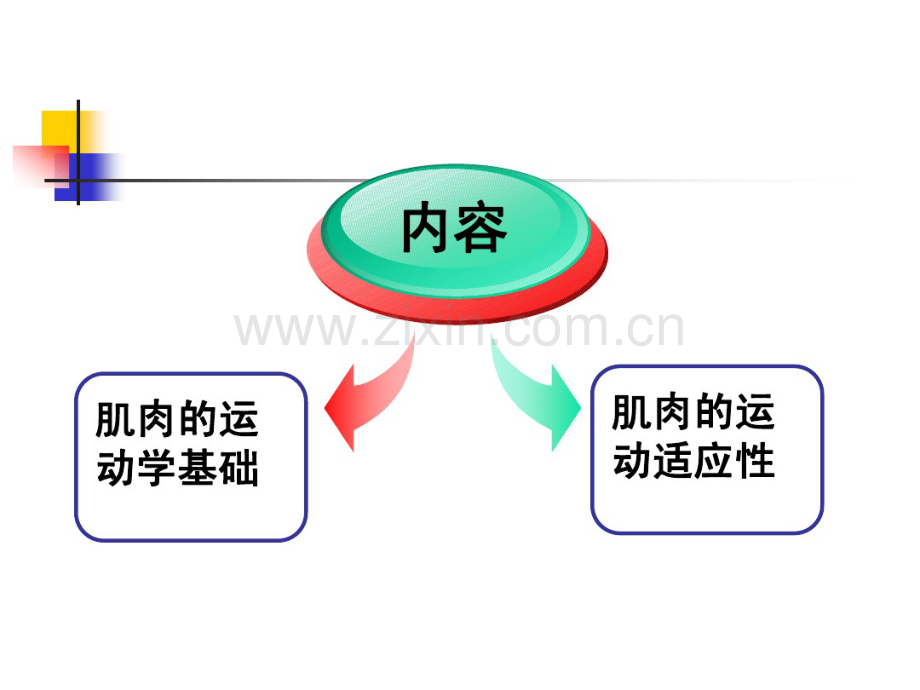 第二章第二节肌肉运动学(基础).pdf_第2页