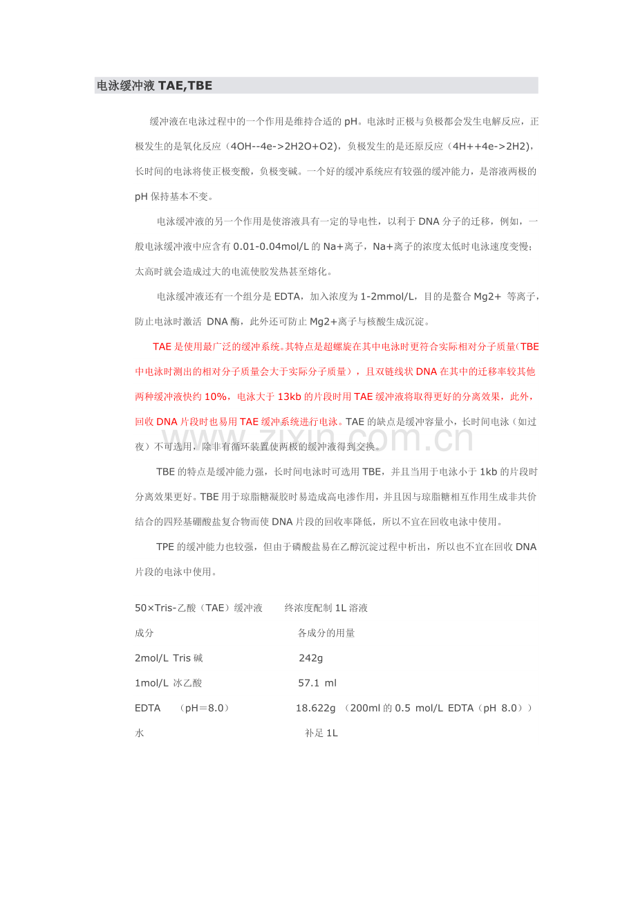 电泳缓冲液TAE-TBE的区别.doc_第1页