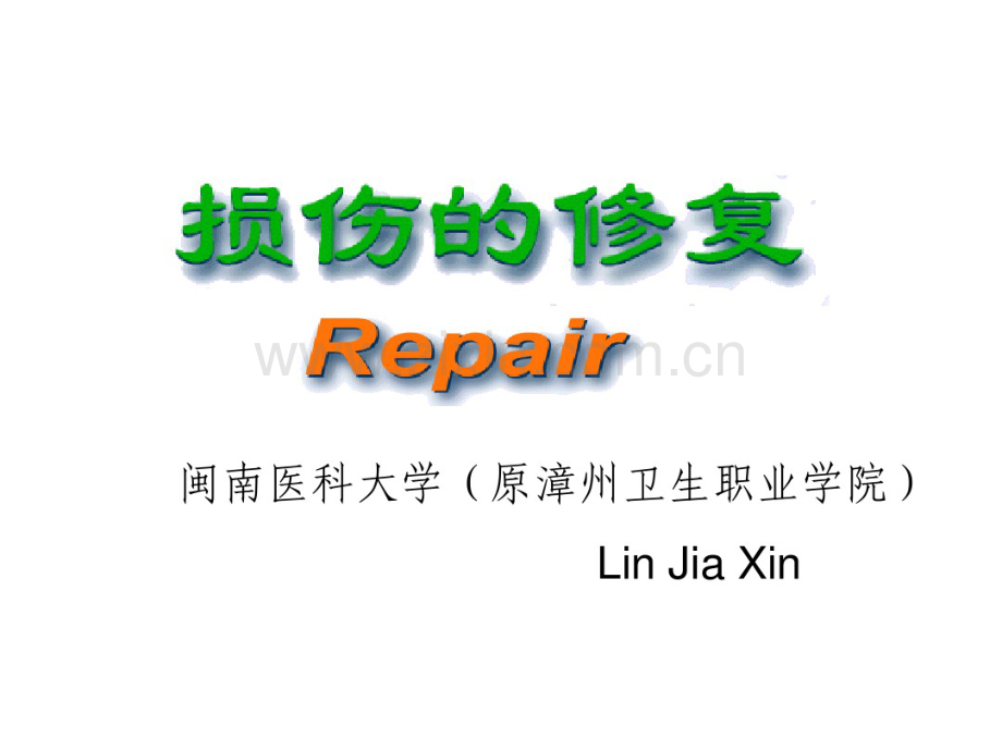 病理学-组织的修复(超级经典).pdf_第1页