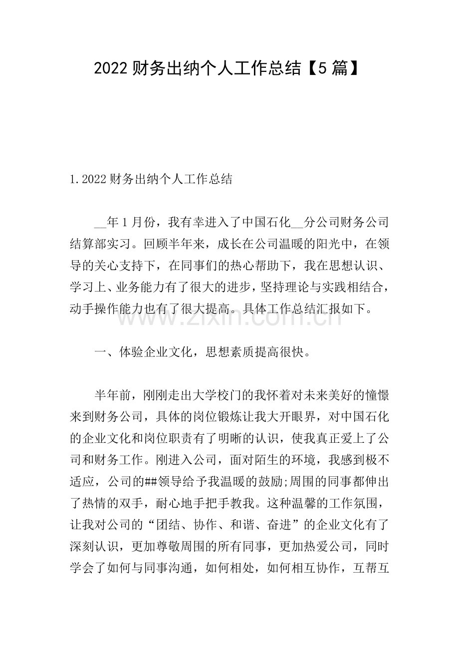 2022财务出纳个人工作总结【5篇】.doc_第1页