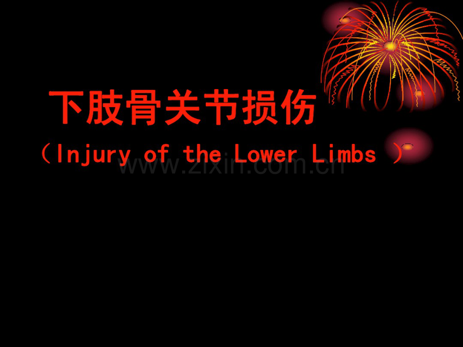 下肢骨关节损伤.pdf_第1页