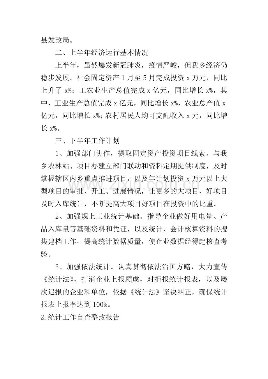 统计工作自查整改报告.doc_第2页