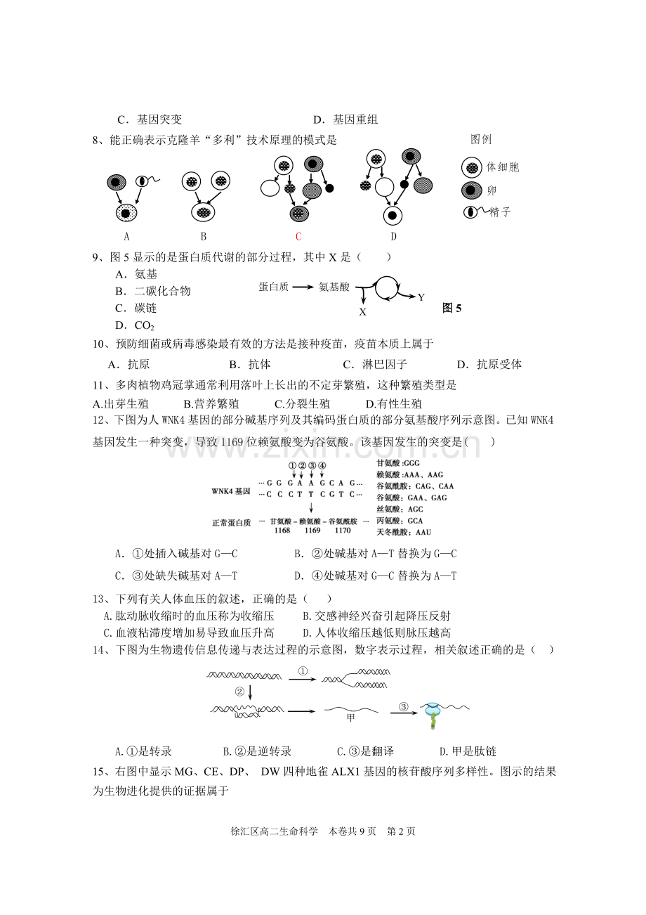 上海市徐汇区2017-2018学年生命科学等级考二.doc_第2页