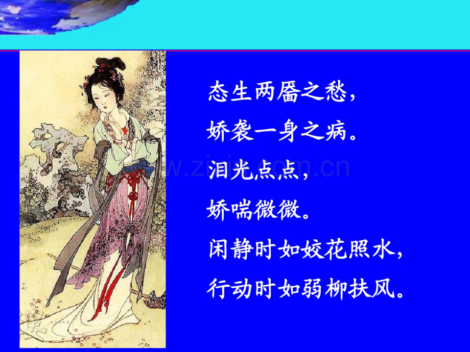结核分枝杆菌.pdf_第1页