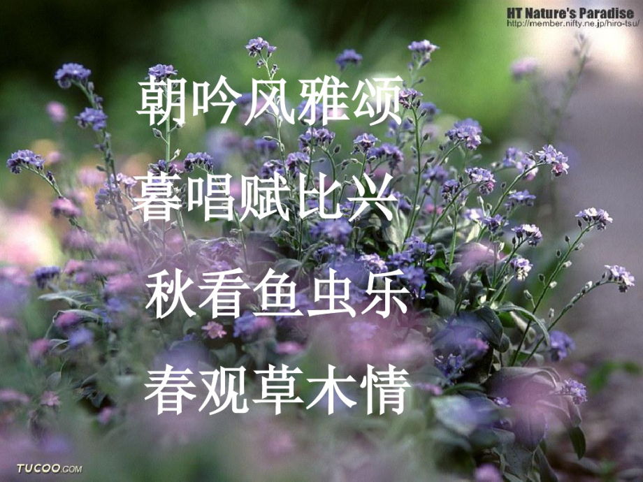 《诗经》.pdf_第1页