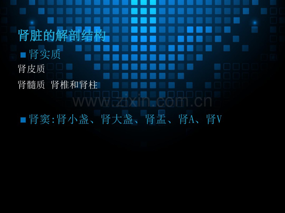 髓质海绵肾的影像诊断.pdf_第2页