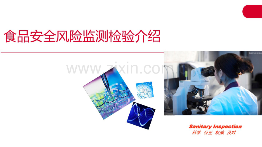 食品安全风险监测检验简介.pdf_第1页