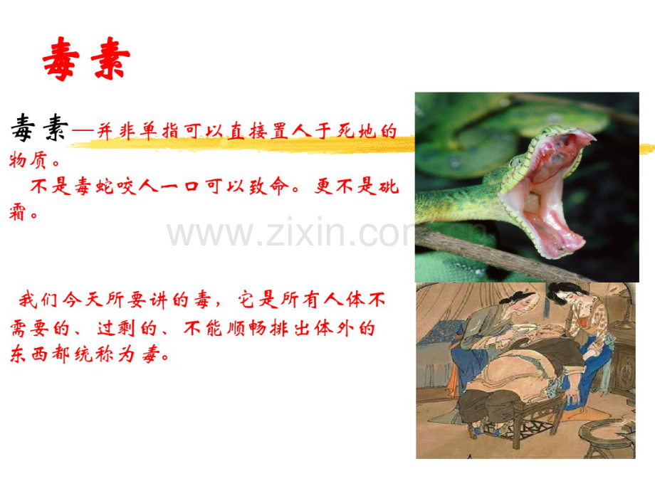 排毒理念.pdf_第2页