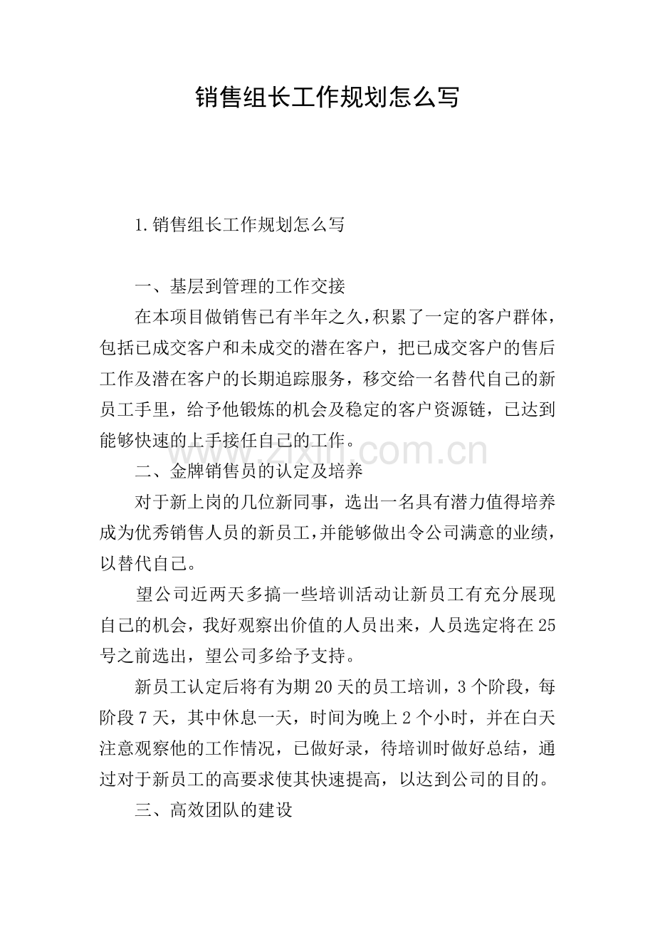 销售组长工作规划怎么写.doc_第1页