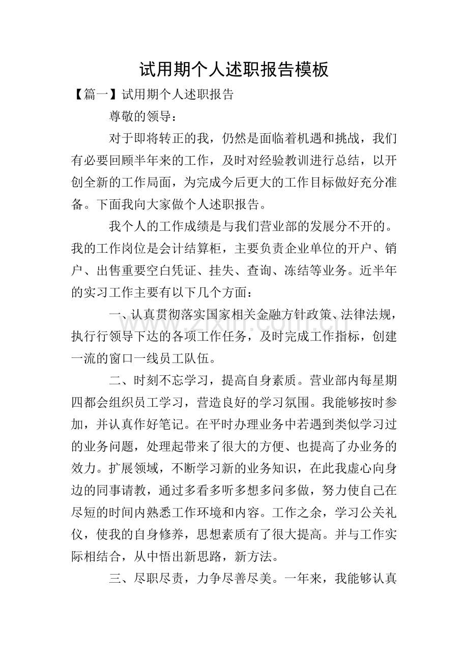 试用期个人述职报告模板.doc_第1页