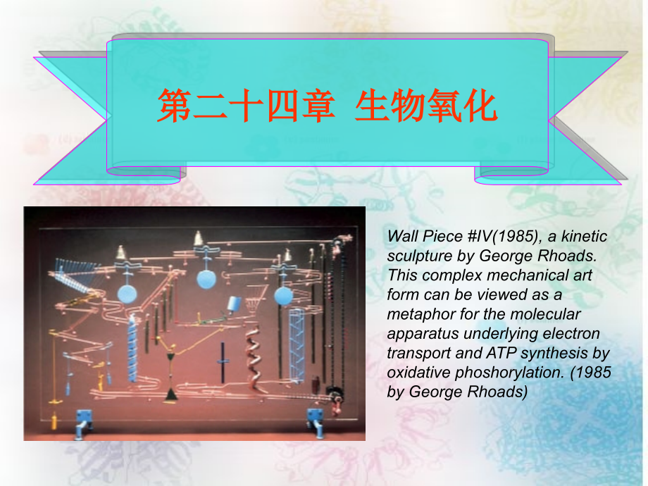 第22章-生物氧化-扬州大学《生物化学》.ppt_第1页