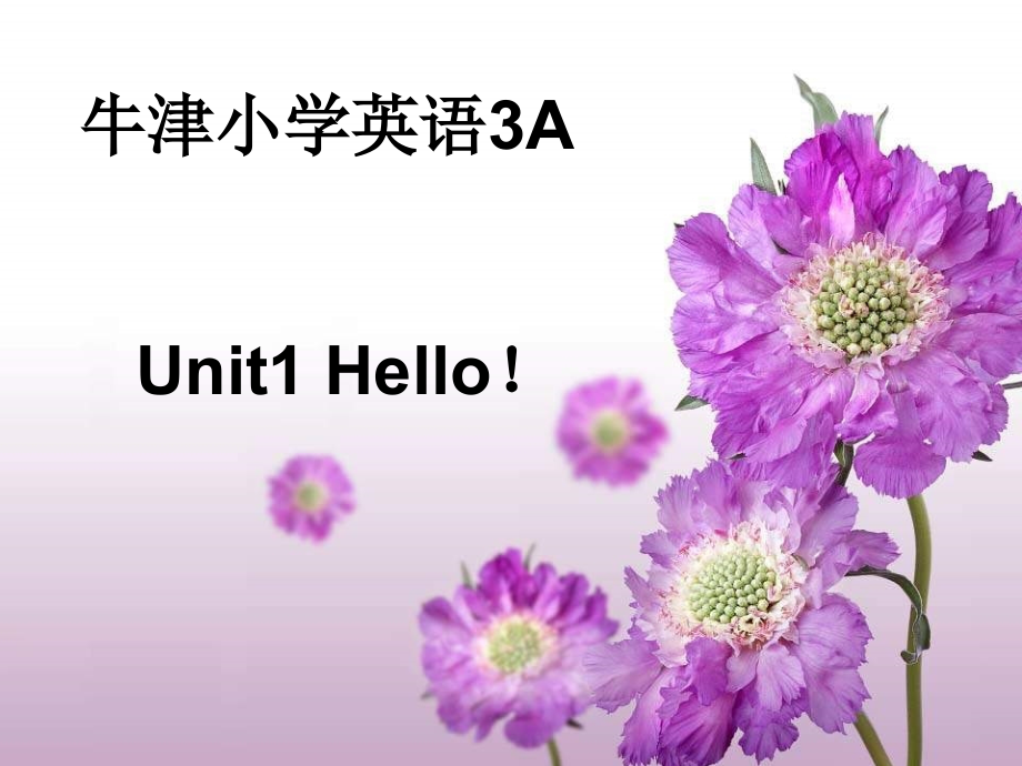 牛津3AUnit1Hello!第一课时.ppt_第1页