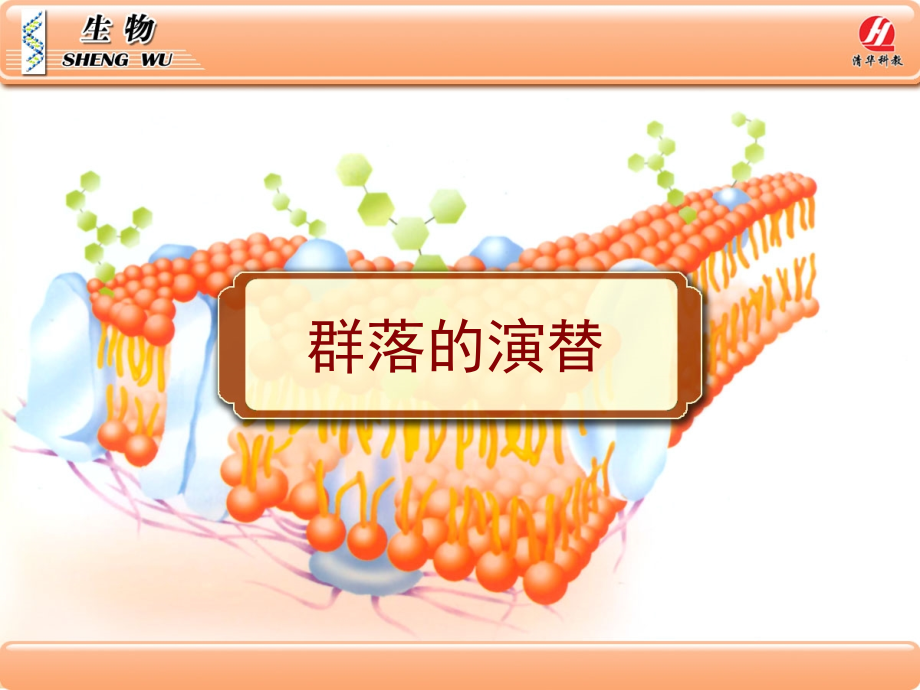 生物学③必修44《群落的演替》.ppt_第1页