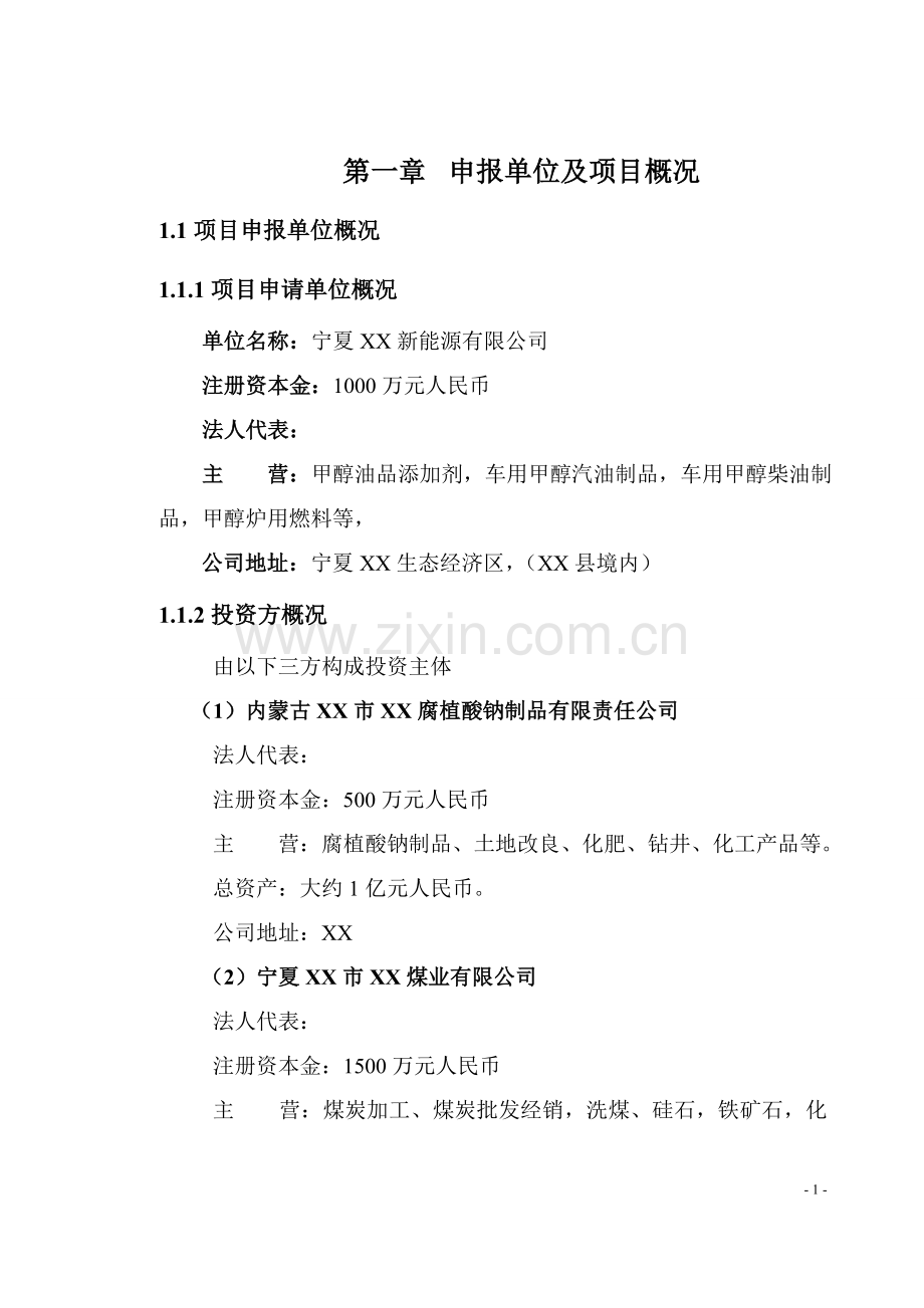 宁夏甲醇汽油添加剂可行性研究报告.doc_第1页