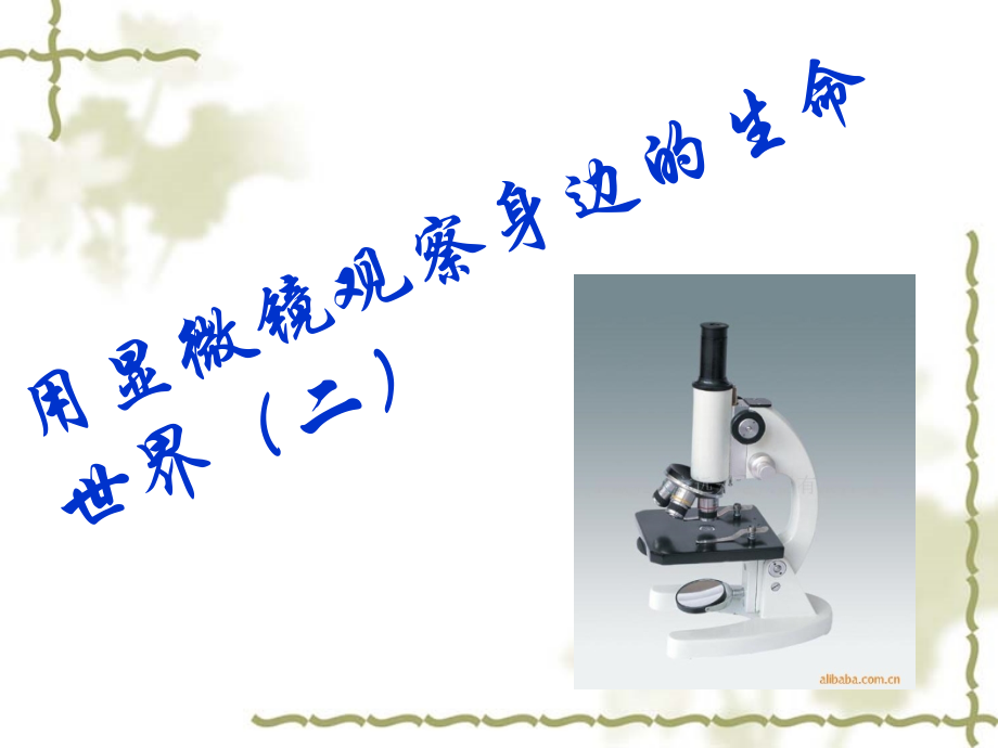 教科版六年级下第一单元用显微镜观察身边的生命世界(二).ppt_第1页