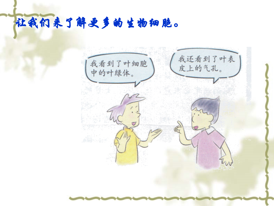 教科版六年级下第一单元用显微镜观察身边的生命世界(二).ppt_第2页