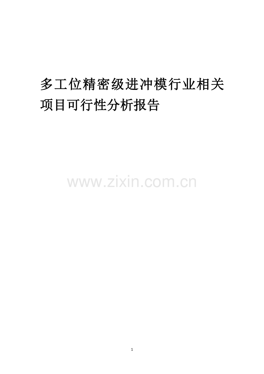 多工位精密级进冲模行业相关项目可行性研究报告.docx_第1页
