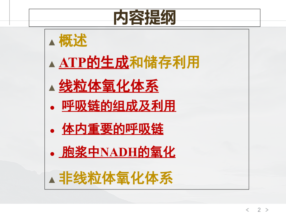 生物氧化-2015春.ppt_第2页