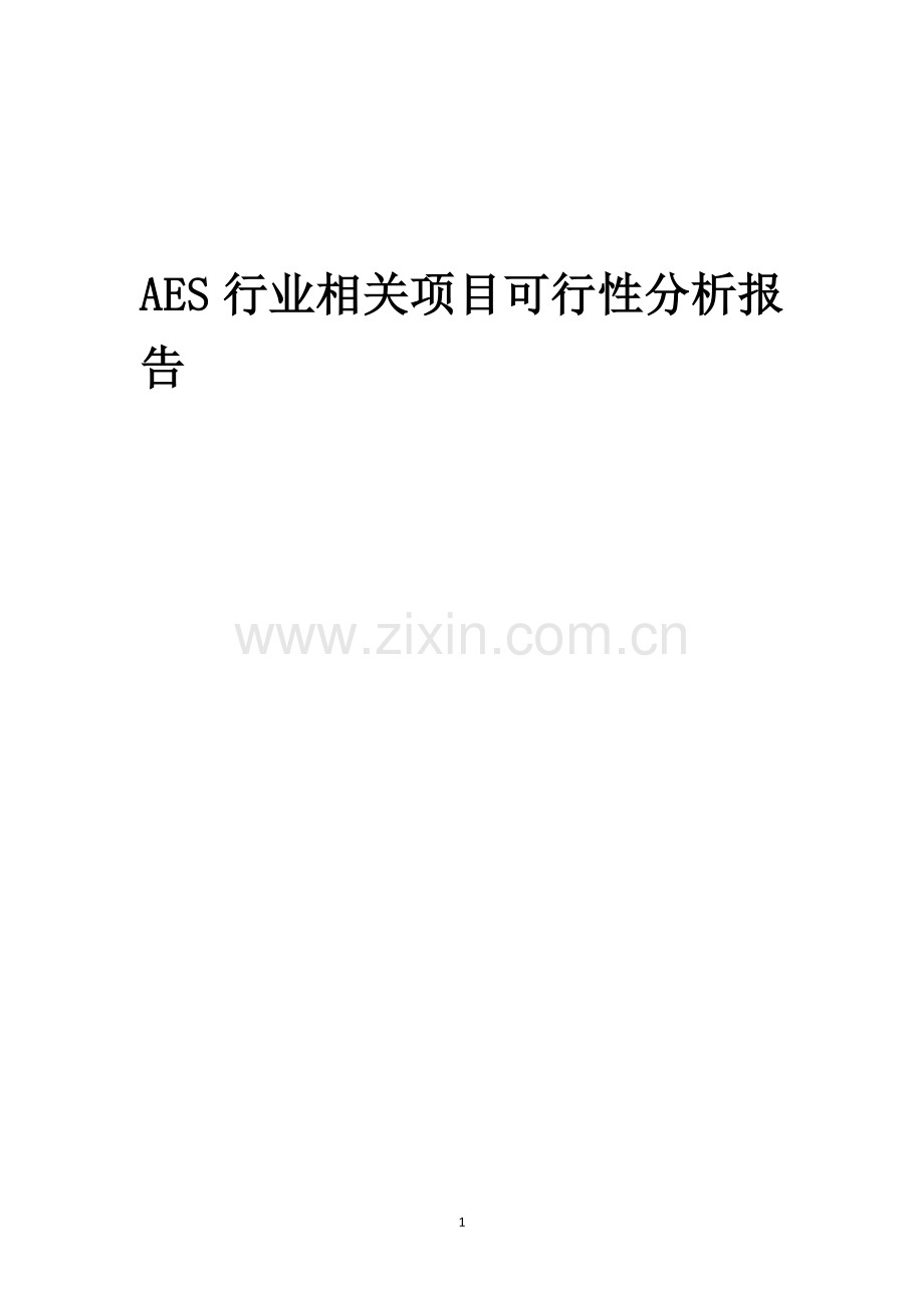 AES行业可行性研究报告.docx_第1页