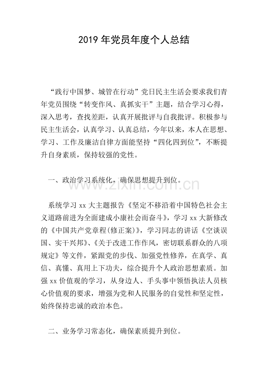 2019年党员年度个人总结.doc_第1页