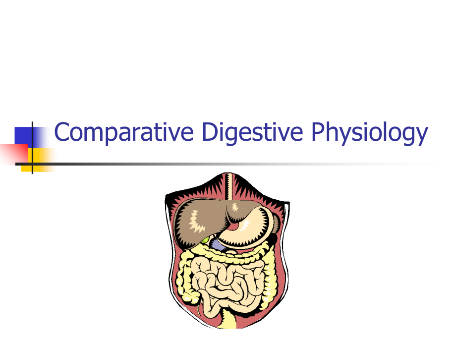 Comparative-Digestive-Physiology-(mod)-大学动物营养学.ppt_第1页