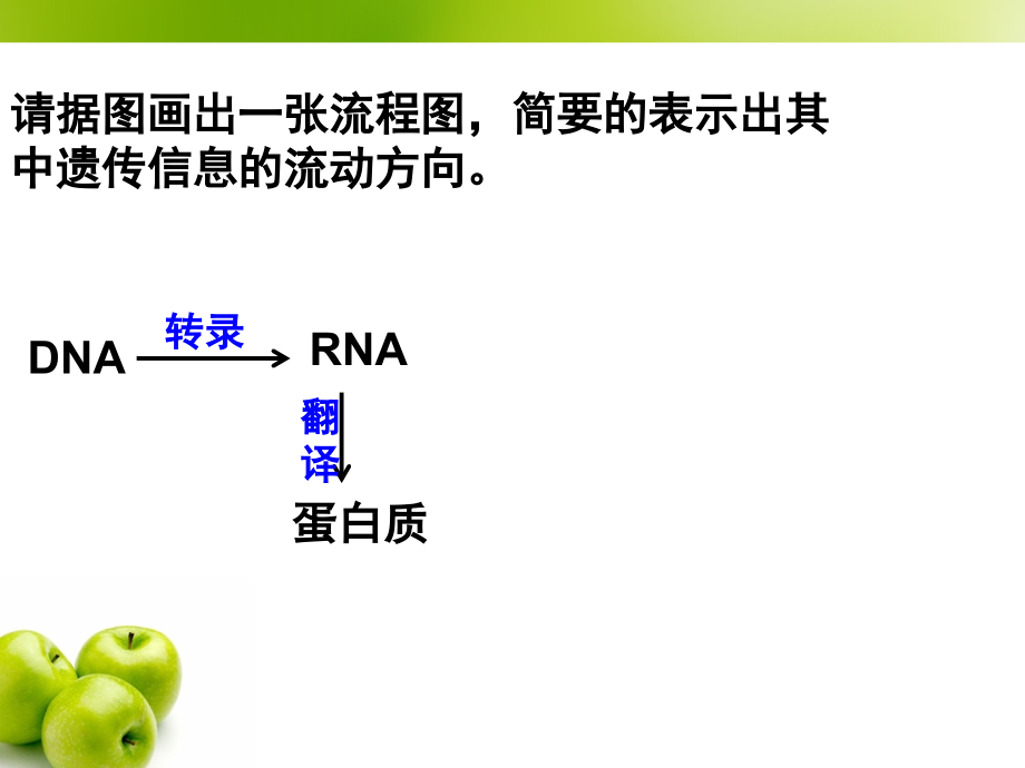 生物：42《基因对性状的控制》(新人教版必修2).ppt_第2页