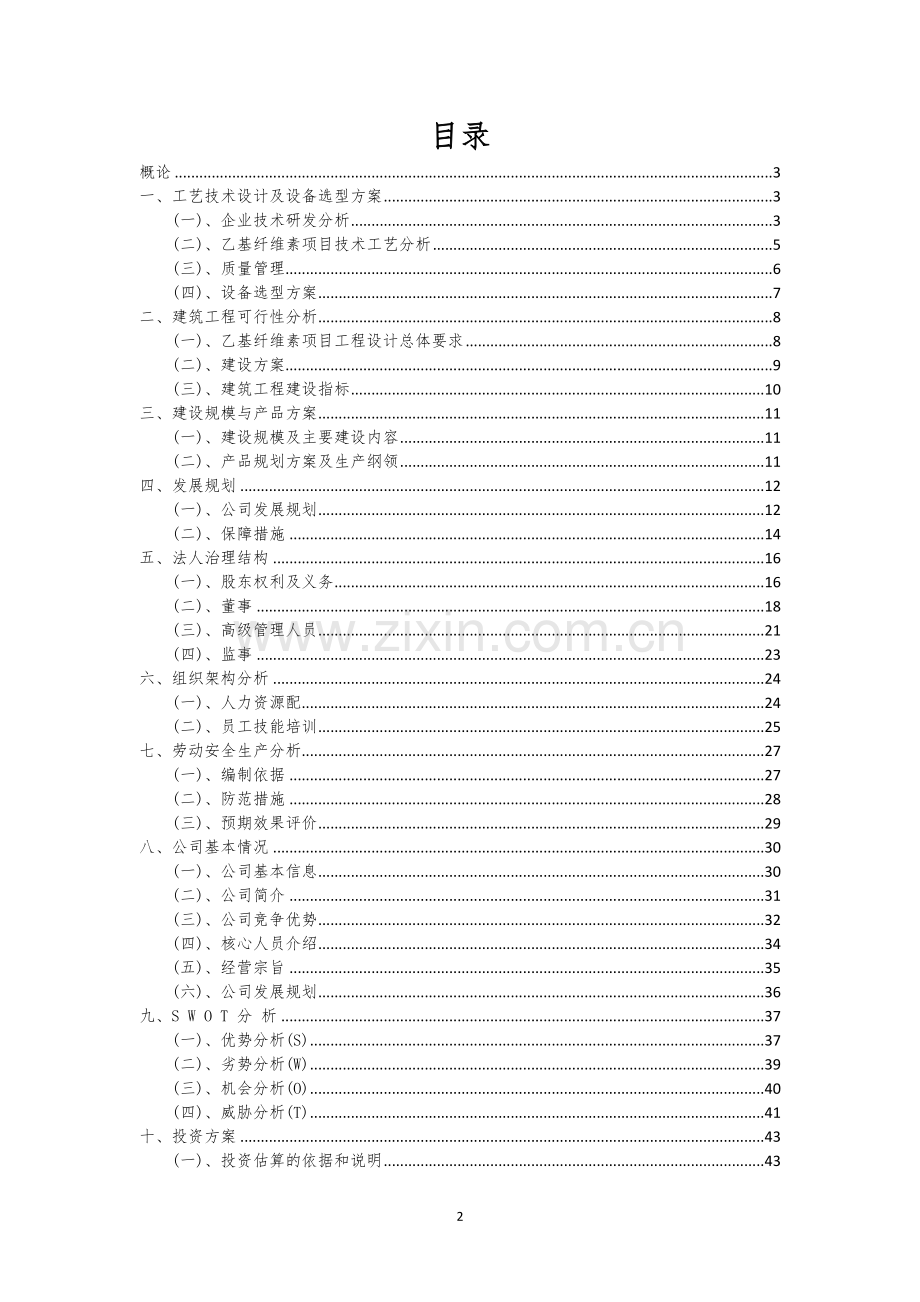 乙基纤维素行业可行性研究报告.docx_第2页