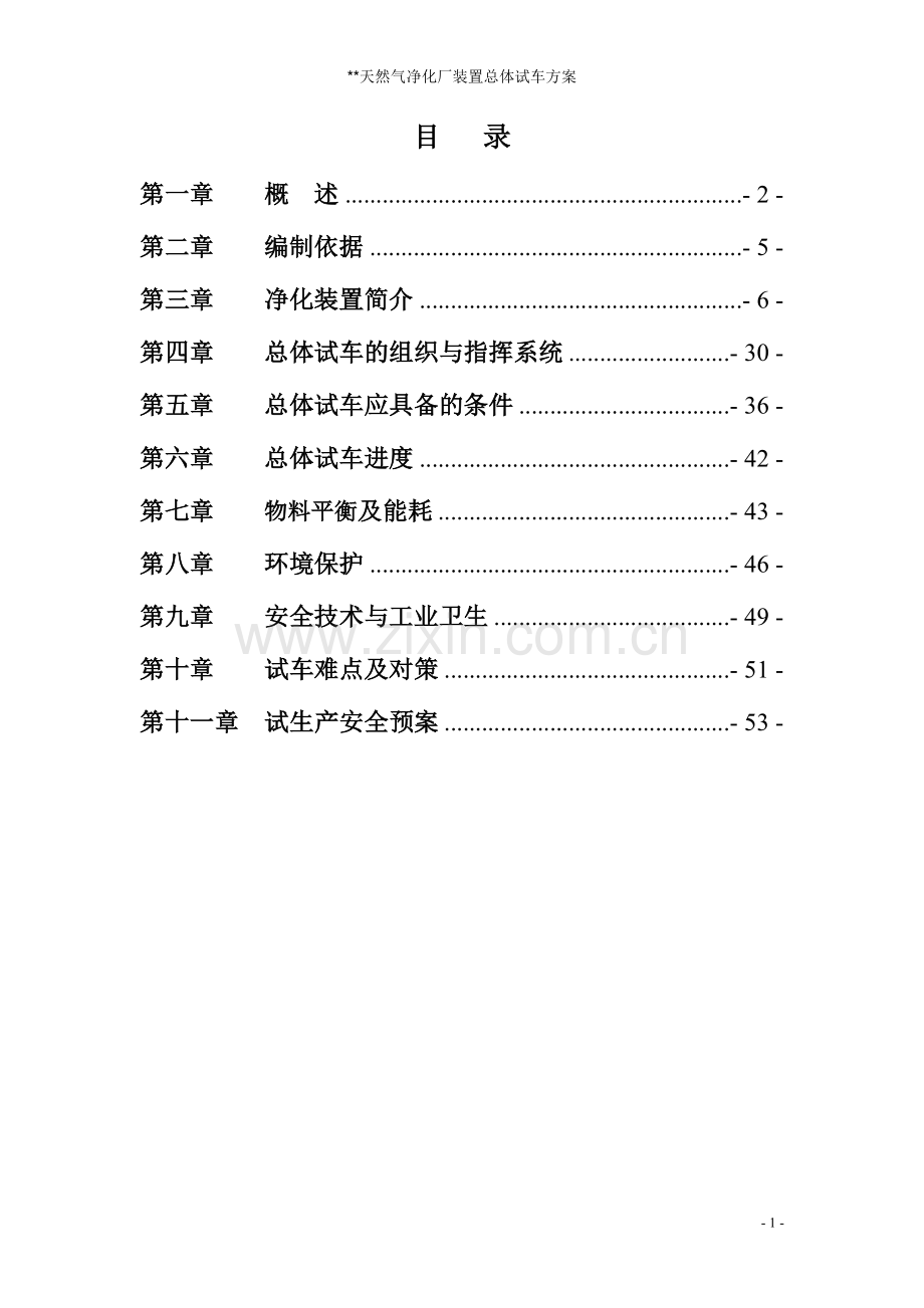 天然气净化装置总体试车方案.doc_第2页