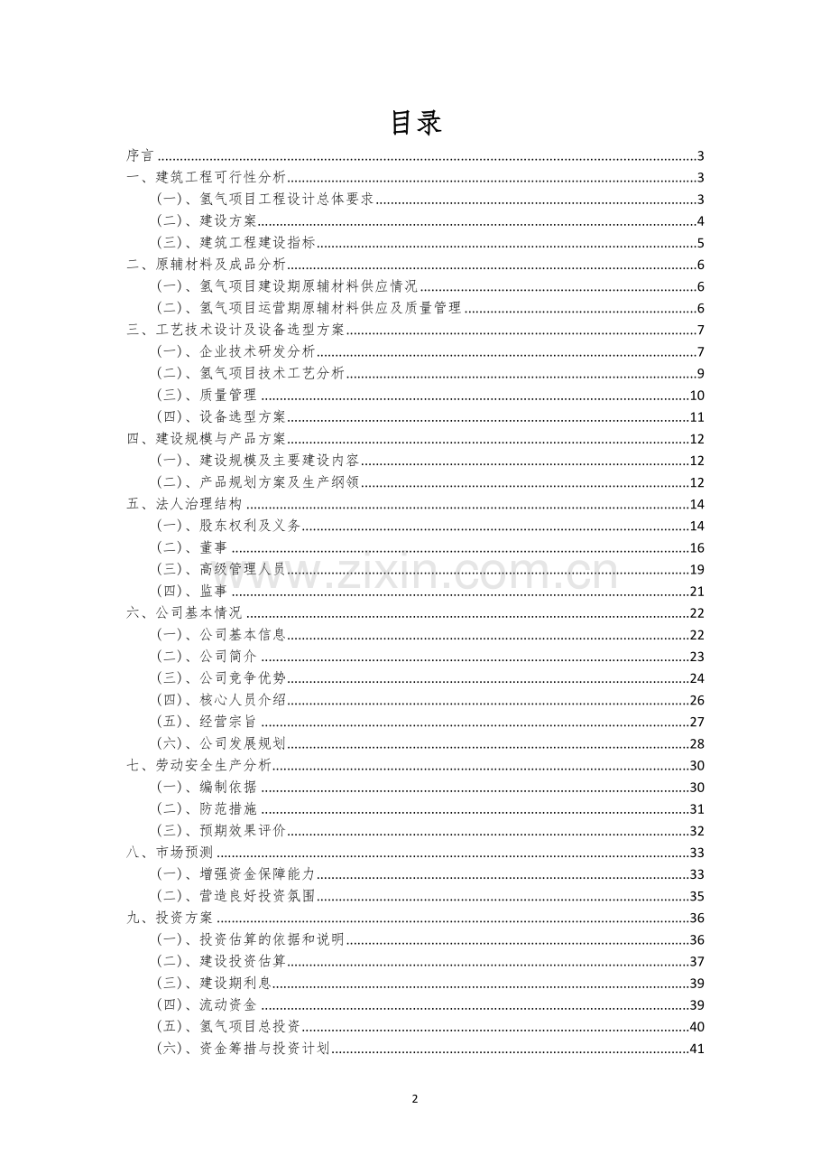 氢气行业相关项目可行性研究报告.docx_第2页