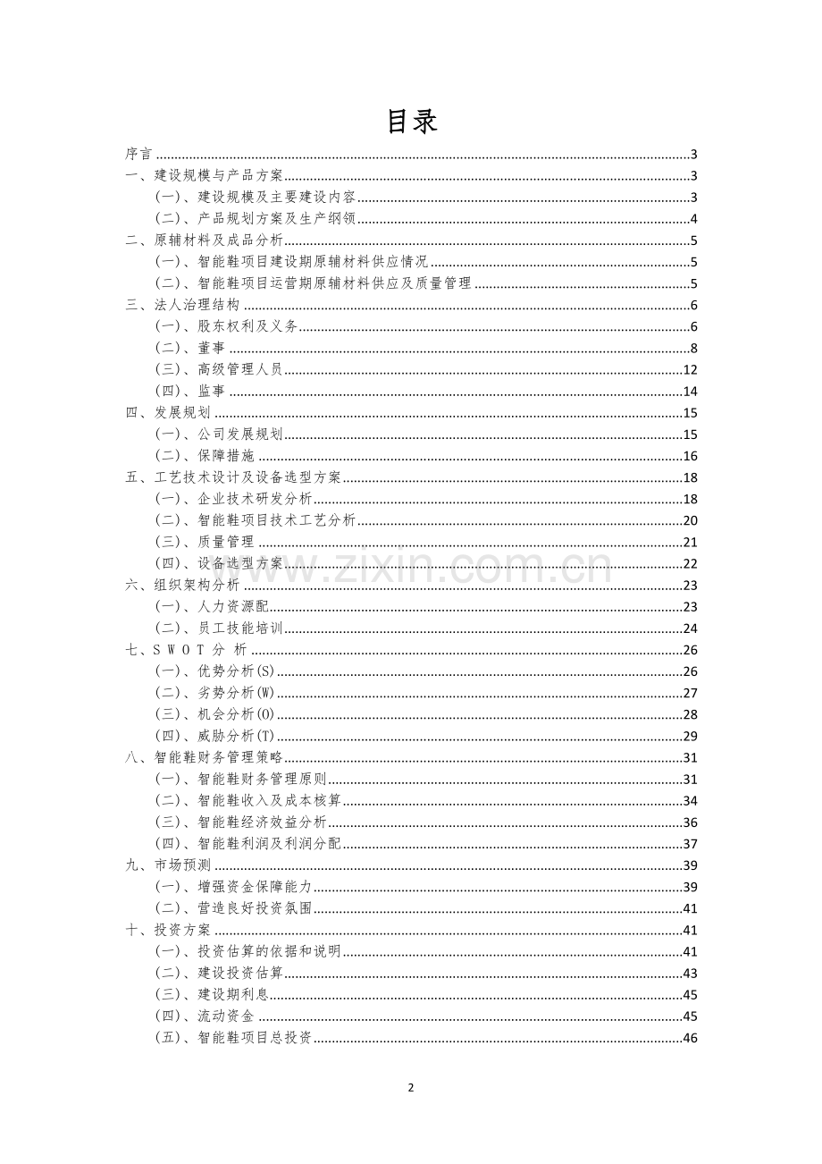 智能鞋行业相关项目可行性分析报告.docx_第2页