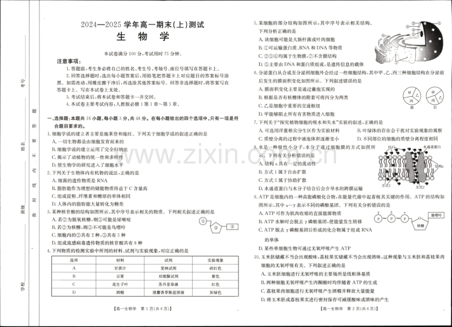河南省新乡市2024-2025学年高一上学期期末考试 生物 PDF版无答案.pdf_第1页