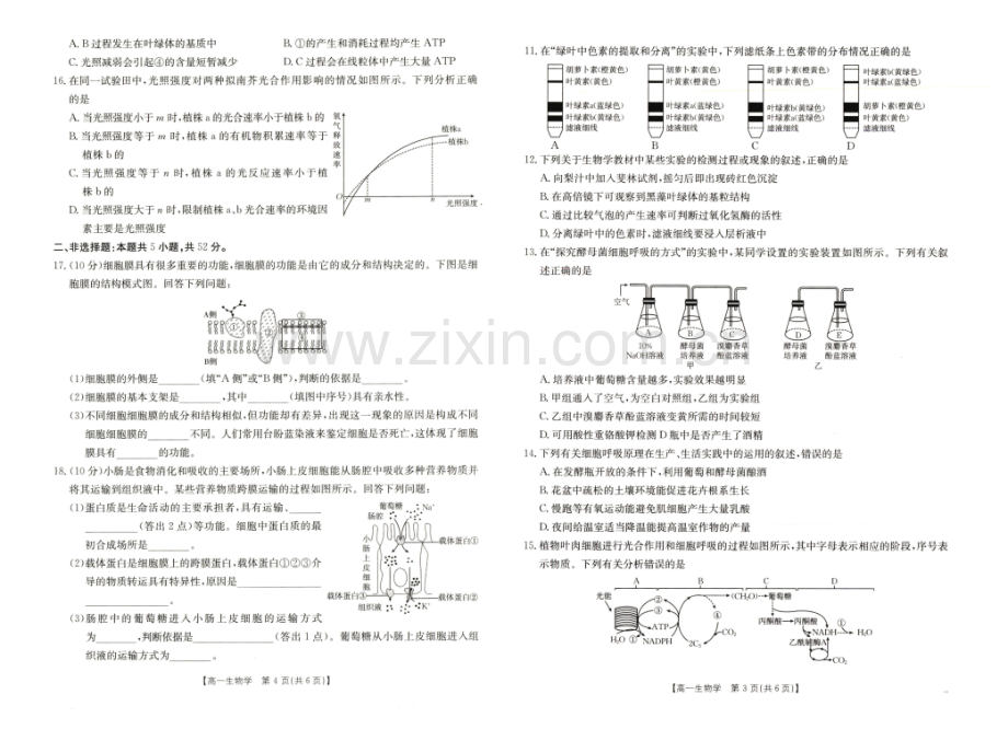 河南省新乡市2024-2025学年高一上学期期末考试 生物 PDF版无答案.pdf_第2页