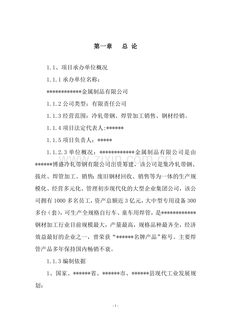 某焊管项目可行性研究报告.doc_第1页