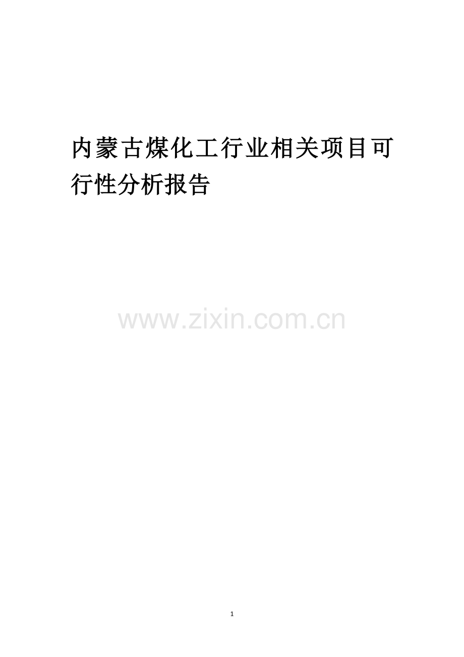 内蒙古煤化工行业可行性研究报告.docx_第1页
