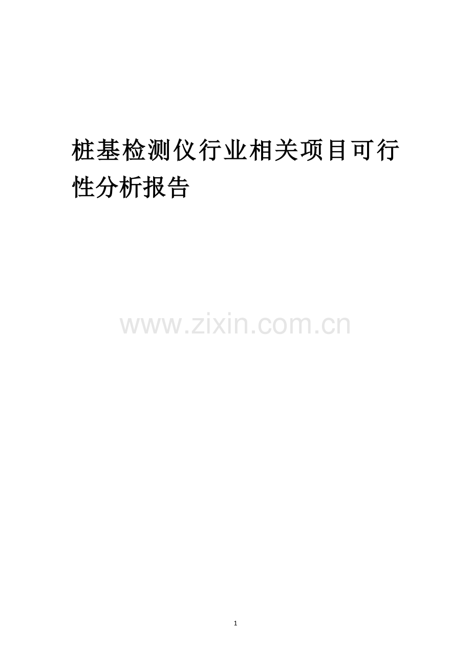 桩基检测仪行业相关项目可行性分析报告.docx_第1页