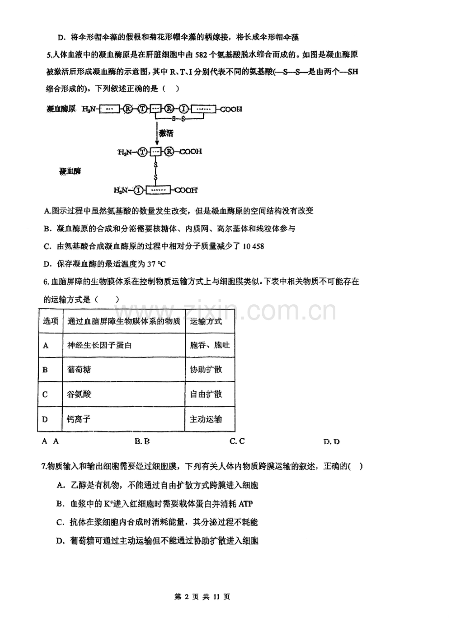 吉林省长春市十一高中2024-2025学年高一上学期第三学程考试 生物 PDF版含答案.pdf_第2页