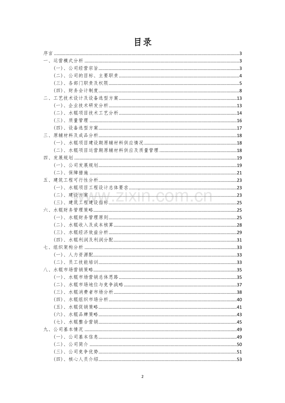 水辊行业相关项目可行性分析报告.docx_第2页