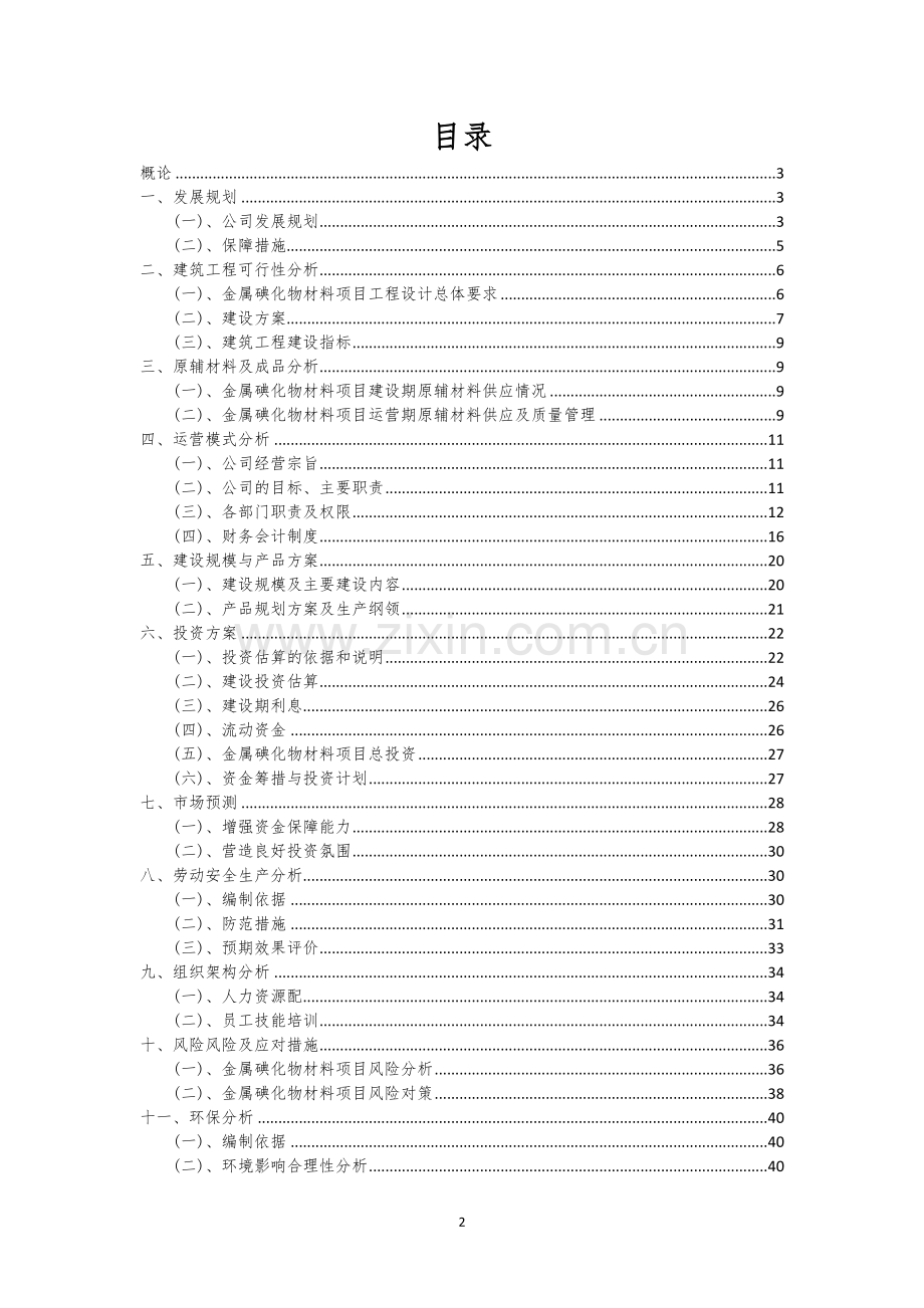 金属碘化物材料行业相关项目可行性分析报告.docx_第2页